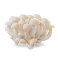 白玉菇 （一包装125g）