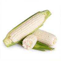 白玉米 (一条AA）